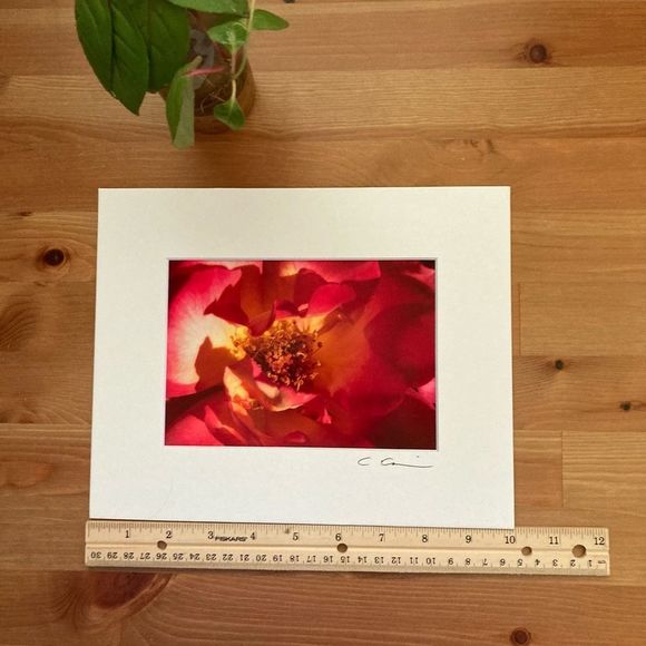 New Original Signed Photography - Picture 4 of 5